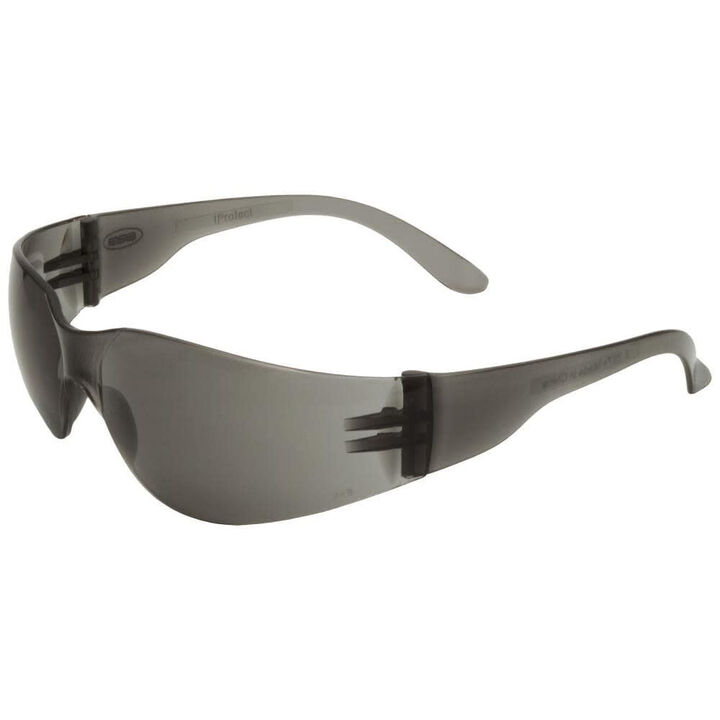 Delta Plus Brava/Iprotect Gray Frame Gray Lens Anti-Scratch Safety Glass