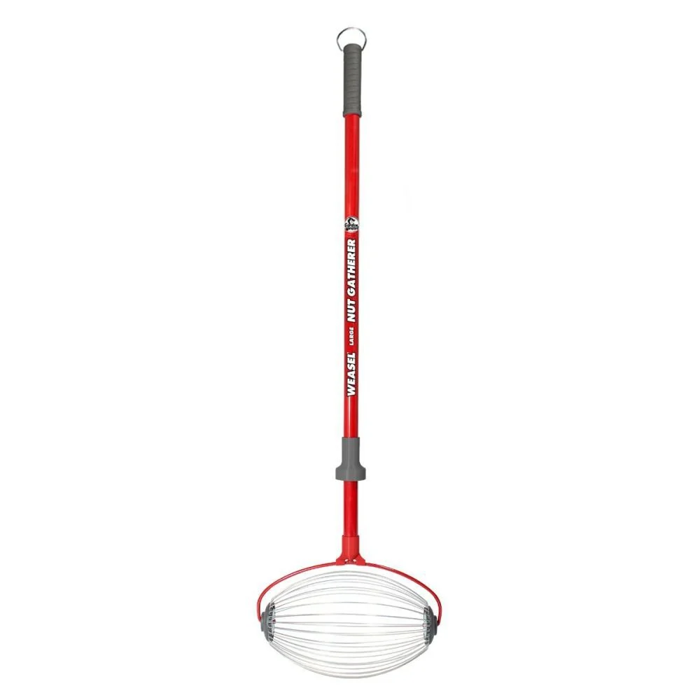 Garden Weasel 47.5 Inch Height Large Carbon Steel Nut Gatherer, large image number 1