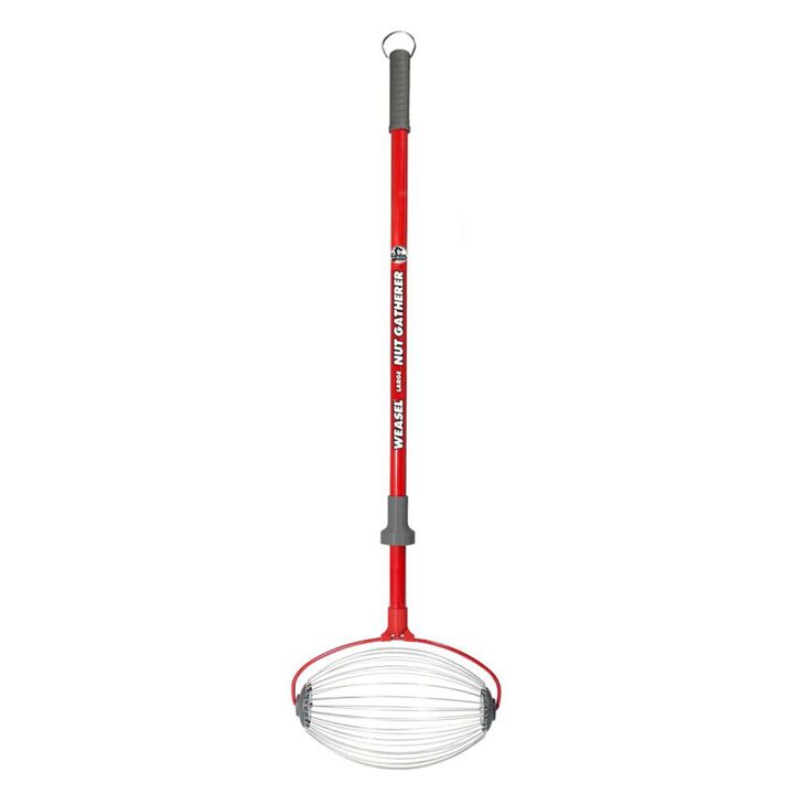 Garden Weasel 47.5 Inch Height Large Carbon Steel Nut Gatherer