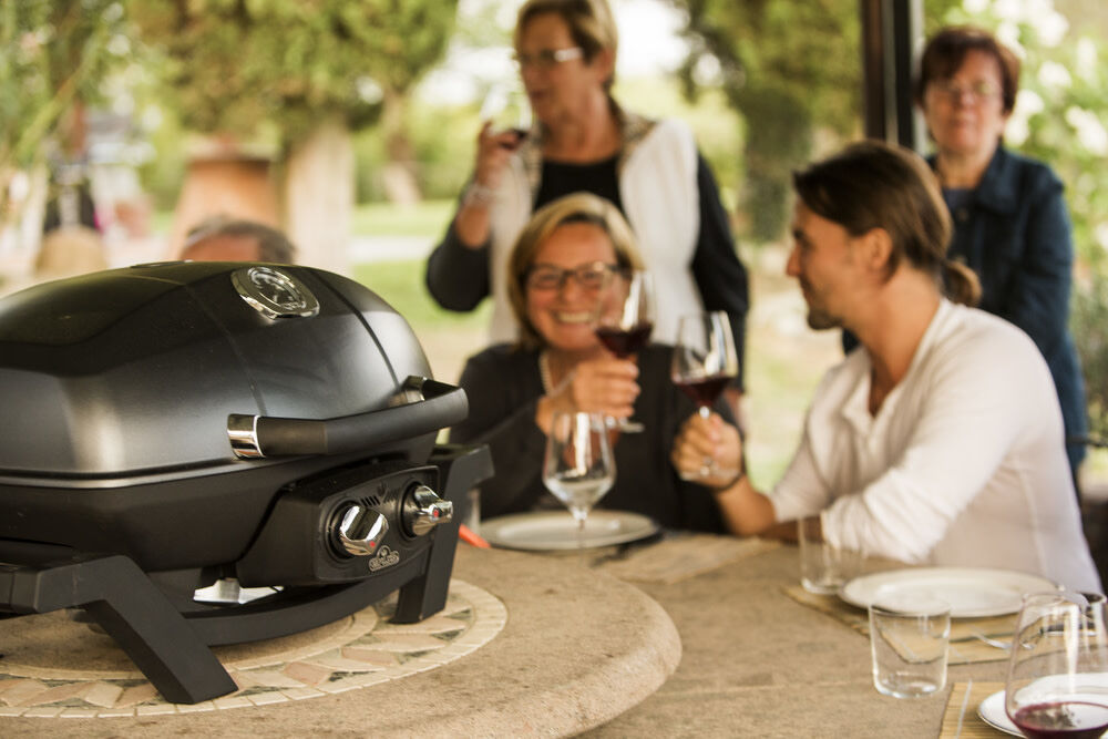 Napoleon TravelQ PRO285 Portable Natural Gas Grill Black PRO285N BK Acme Tools