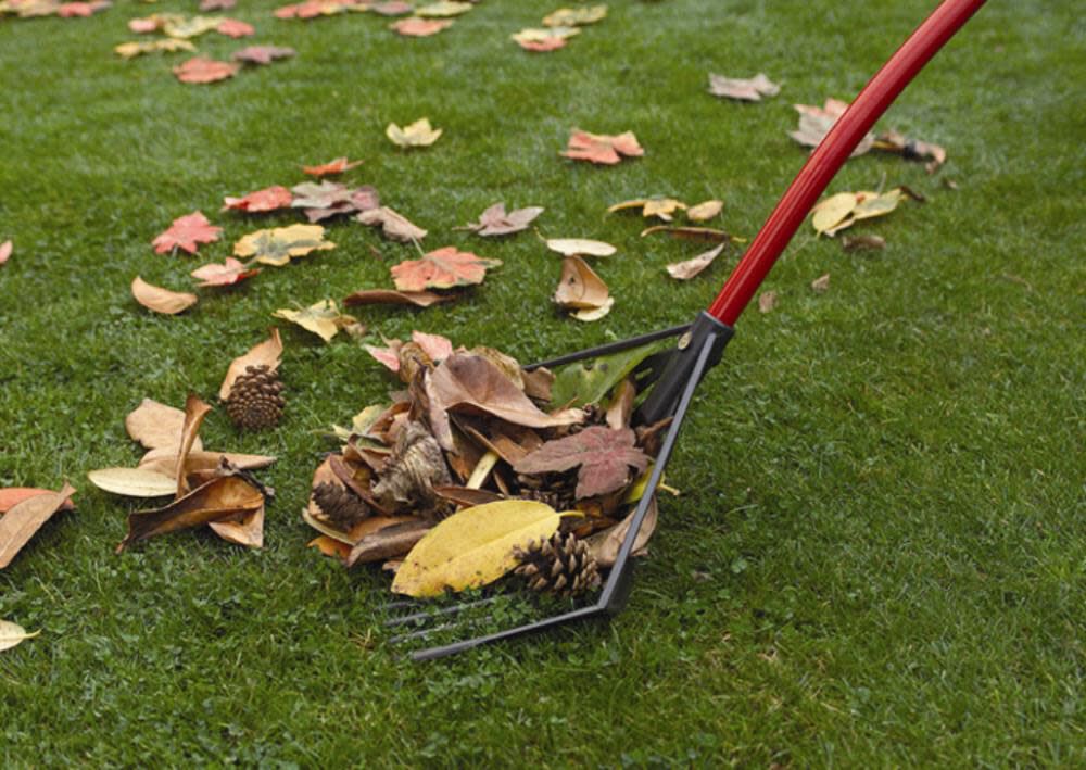Grass shop skimmer machine