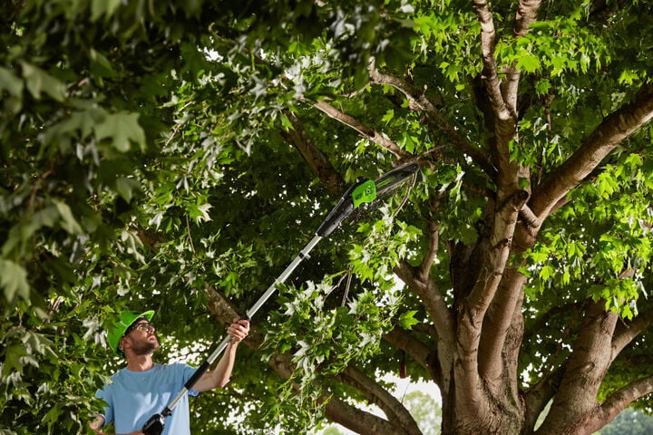 Greenworks 80V 10in Pole Saw with 2Ah Battery & Rapid Charger Kit, large image number 3