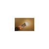 3M 32oz Patch Plus Primer Spackling Compound, small image number 4