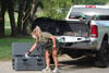 Rugged Road 115 V2 Cooler, Forest Green, small image number 6