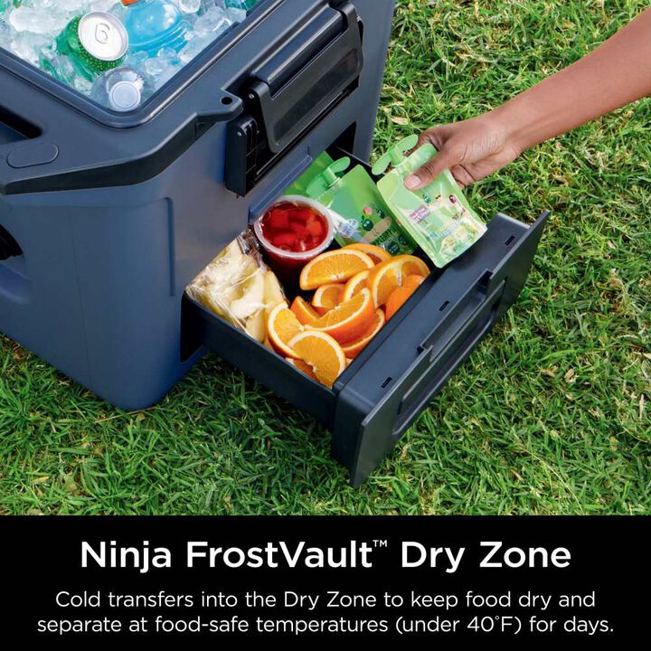 Ninja FrostVault 30 Qt Hard Cooler with Cold Dry Zone Lakeshore Blue, large image number 2
