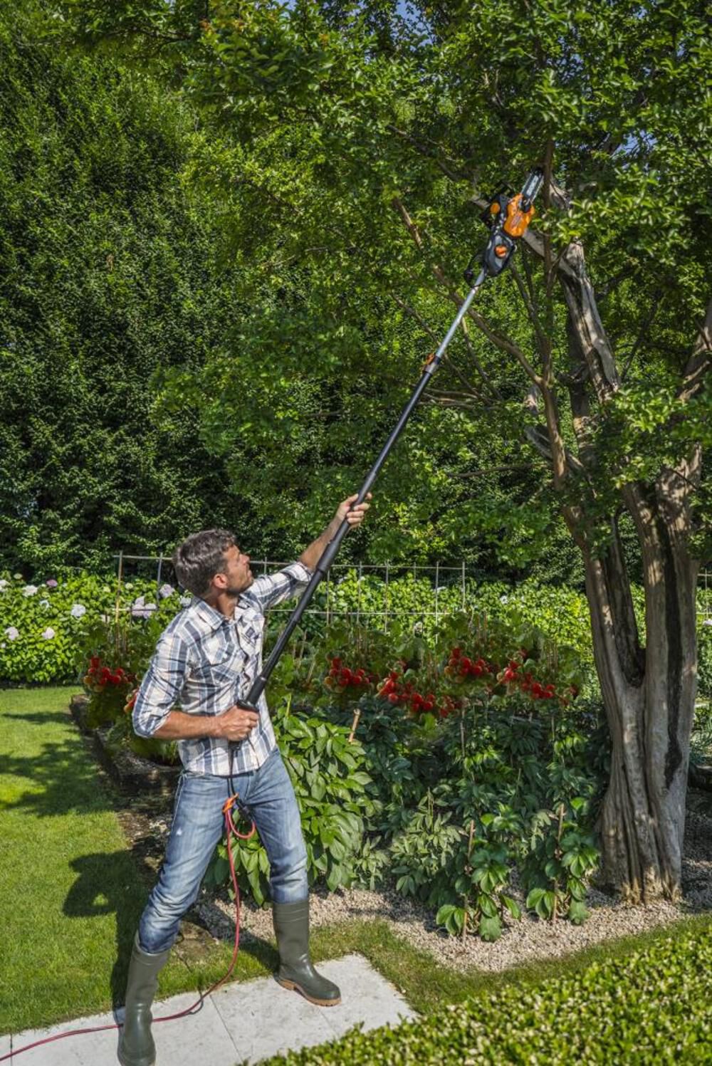 Electric pole online tree trimmer