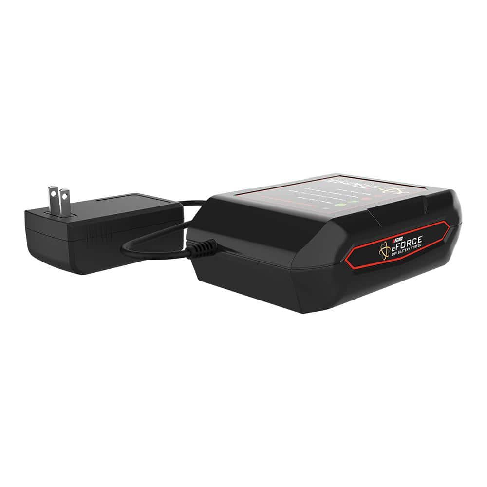 Echo eForce 56V 2.5Ah Battery-Powered Edger Kit with Battery and Charger, large image number 9