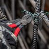 Klein Tools Ironworker's Pliers Knurled 9in, small image number 4