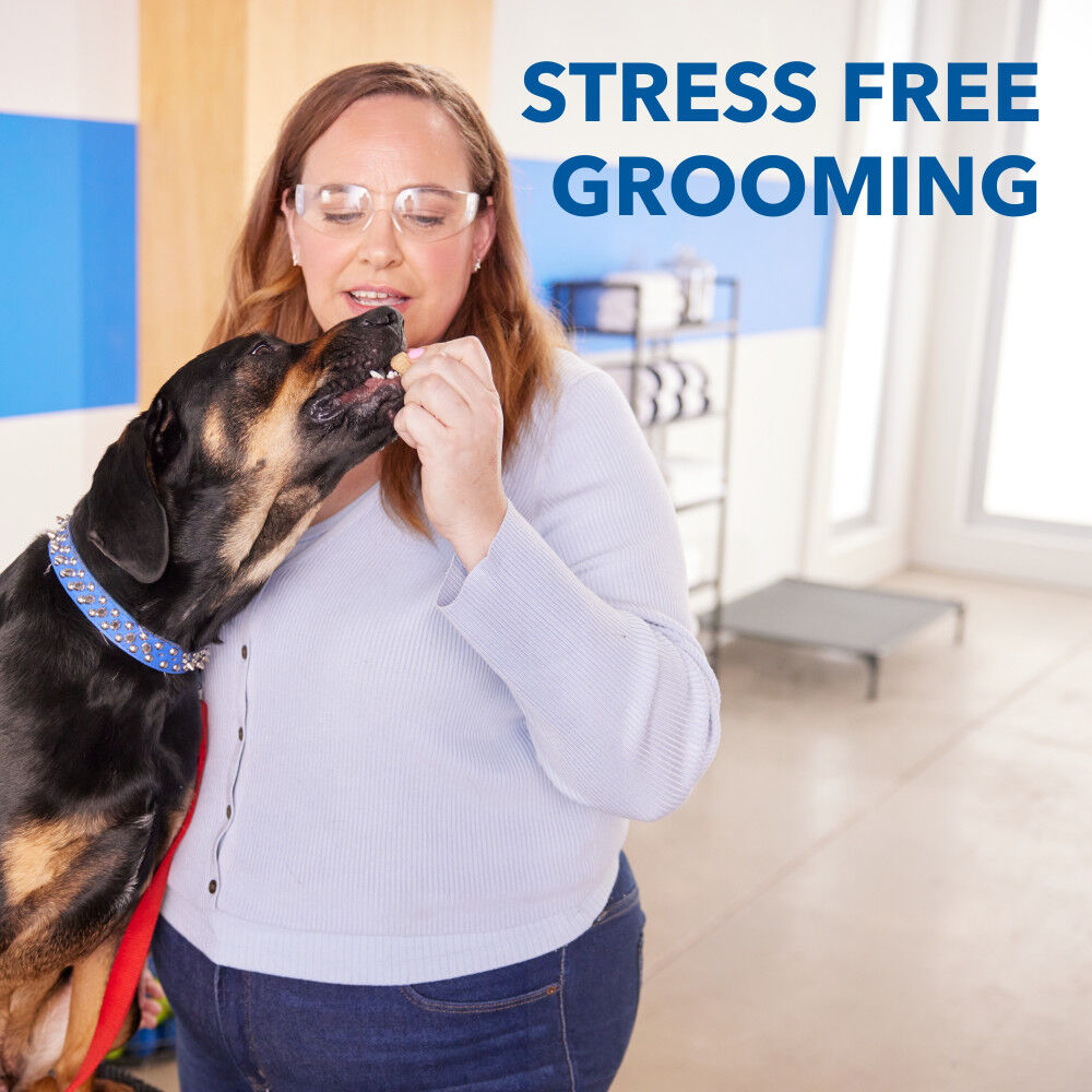 Dremel Pet Nail Grooming Kit 4 Volt Cordless, large image number 6