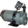 Star Water Systems 1 HP Cast Iron Convertible Jet Pump, small image number 1