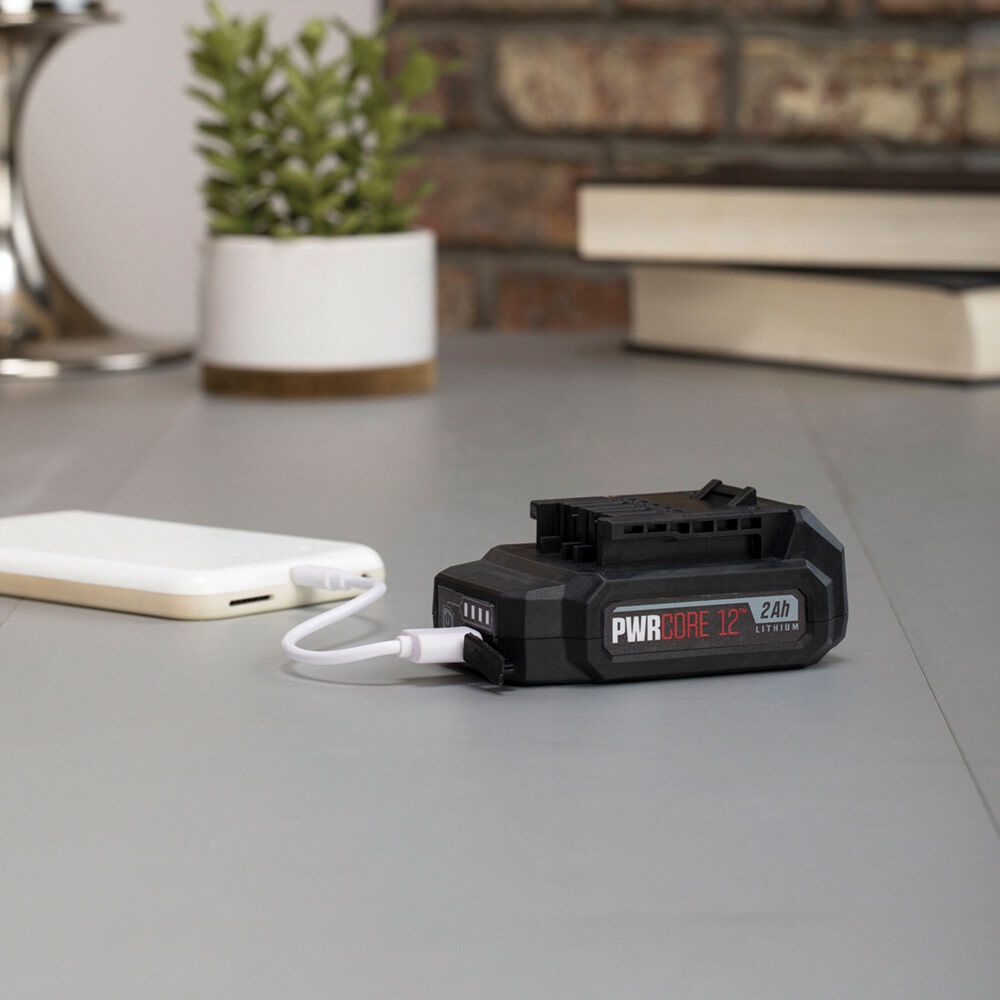 Skil dual source 12v battery hot sale