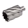 DEWALT Annular Cutter 1 3/4in X 2in HSS 3/4in Weldon, small image number 2