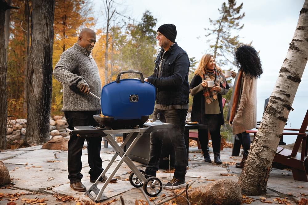 Napoleon TravelQ 285X Portable Propane Gas Grill with Scissor Cart Blue, large image number 3