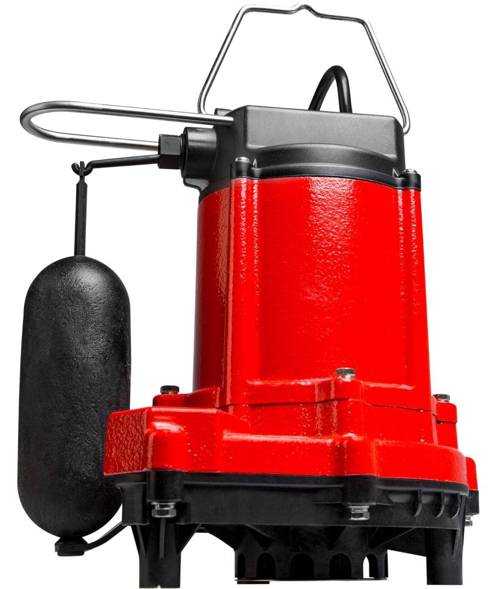 Red Lion 1/3HP 3000 GPH Sump and Effluent Pump with Float Switch, large image number 1