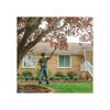 Stihl 10 Inch Bar Battery Powered HTA 50 Cordless Pole Pruner Kit, small image number 3