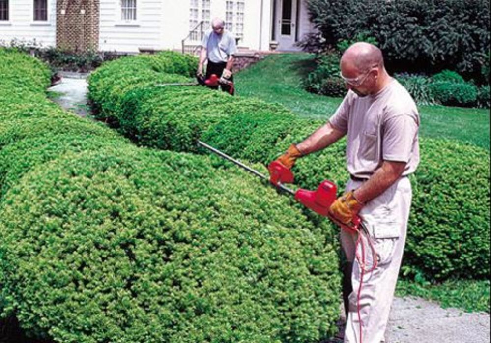 Little Wonder Hedge Trimmer 30in Double Edge Electric