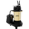 K2 Pumps Effluent Pump 3/4 HP Cast Iron with Piggyback Tethered Switch, small image number 1