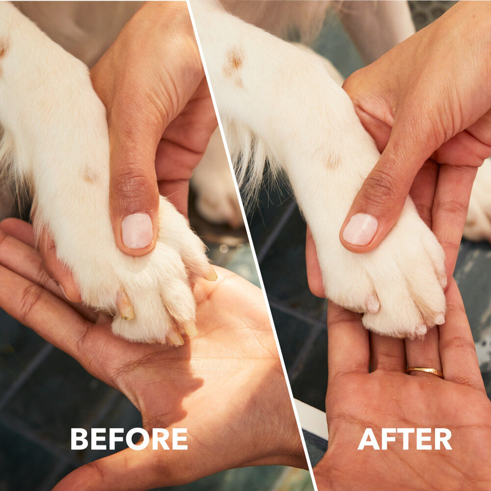 Dremel Pet Nail Grooming Kit 4 Volt Cordless, large image number 7