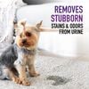 Hoover Residential Vacuum Paws & Claws Urine Stain Eliminator 22oz, small