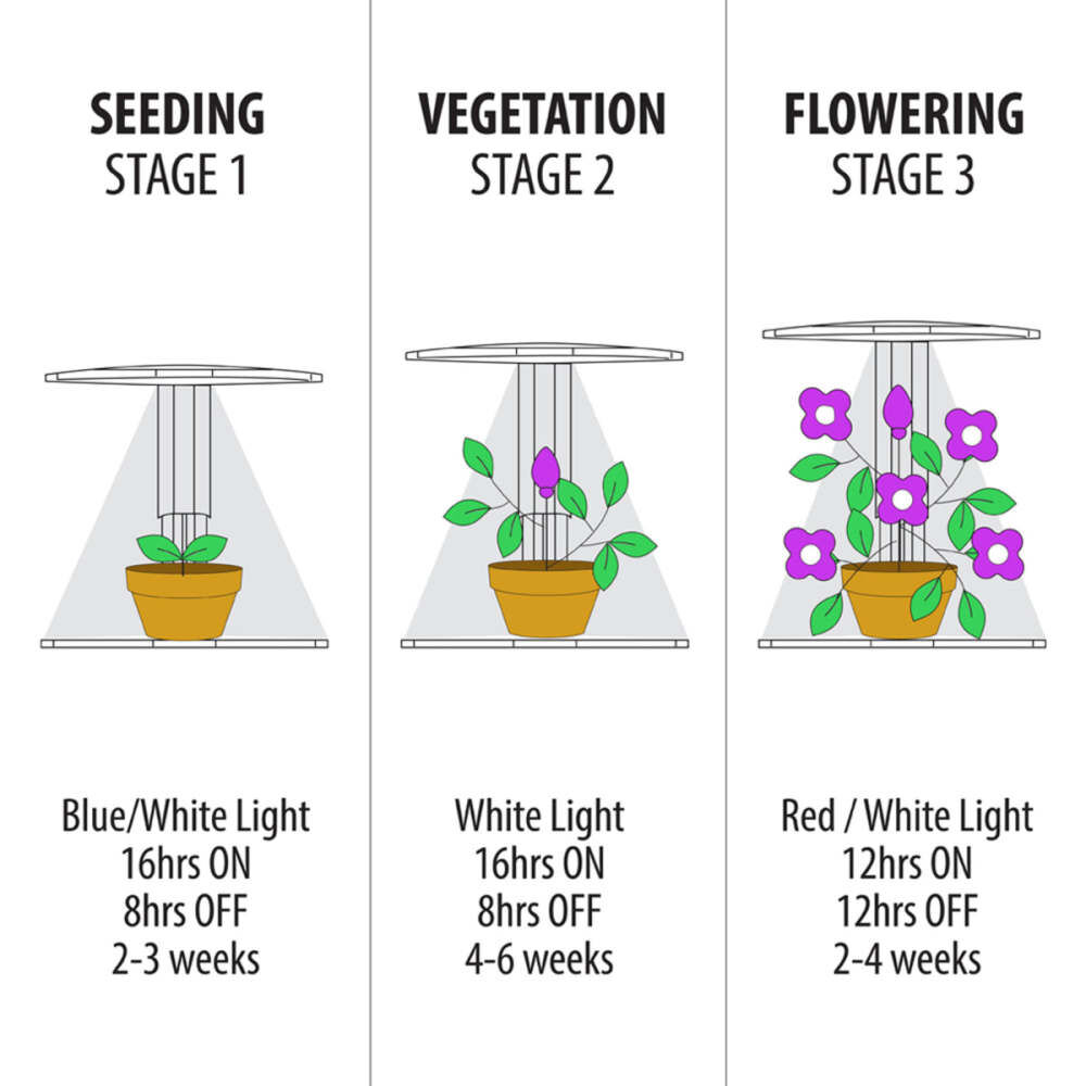 Feit Electric 37W 3200 Lumens LED Portable Tabletop Grow Light, large image number 14