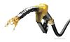 BluBird OilShield 3/4 Inch x 12 Ft. Rubber Farm Fuel Transfer Hose with Wire, small image number 2