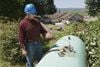 Amprobe Aprobe Gas Leak Detector, small image number 2