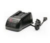 Toro 20V Lithium-ion battery charger, small