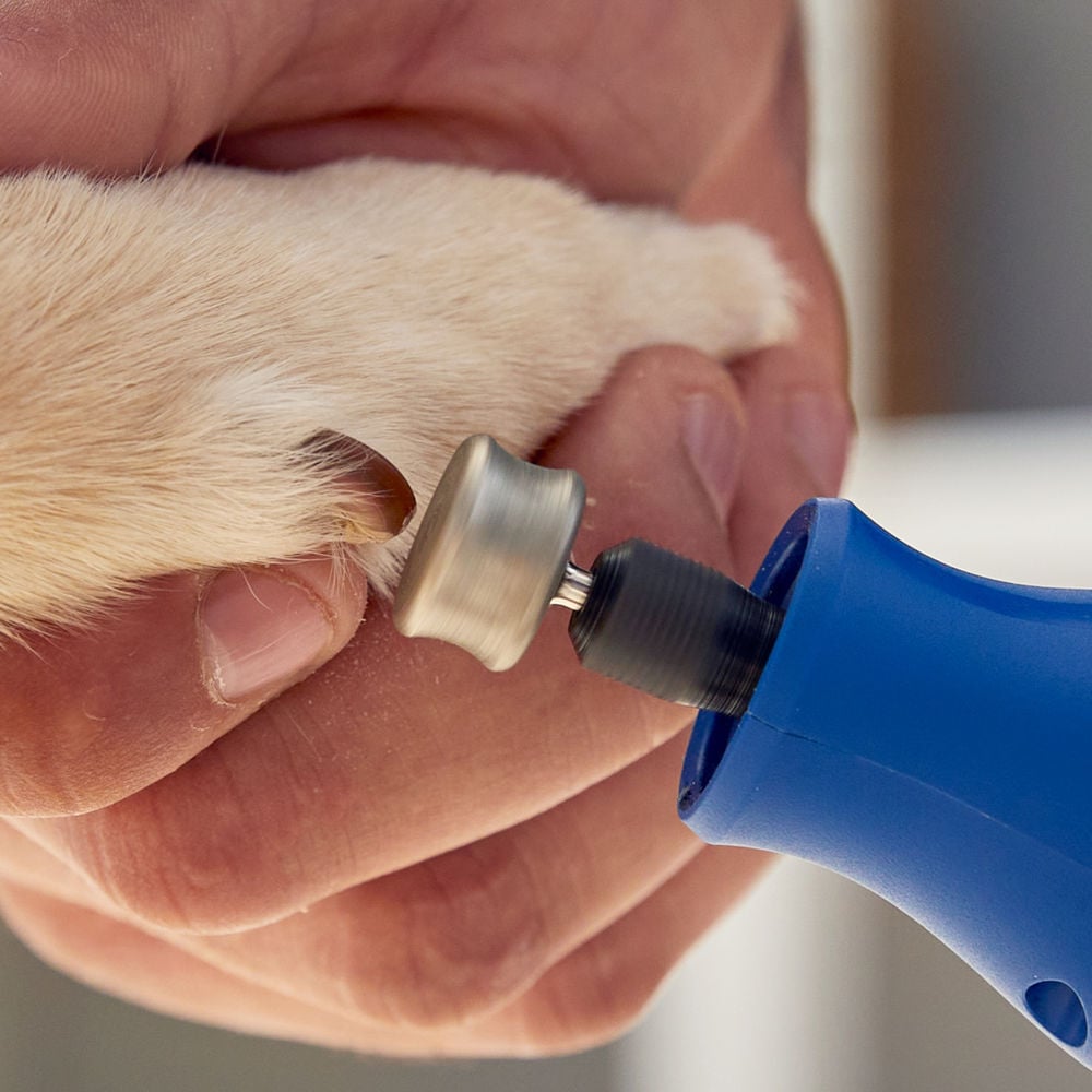 Dremel Diamond Coated Pet Grooming Bit, large image number 6