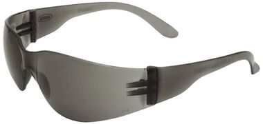 ERB IPROTECT Safety Glasses - Gray Temple/Gray Lens