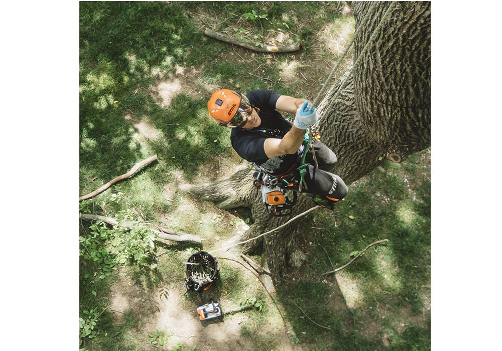 Stihl MS 194 T 3/8 Inch Pitch Chain Compact Gas Powered Professional Grade Top-Handle Chainsaw, large image number 4