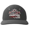 Wiha Promotional Last Brand Standing Champions Hat, small image number 1
