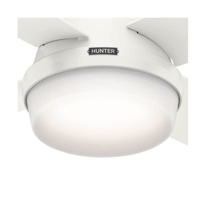 Hunter Fan Dempsey Ceiling Fan 44in Fresh White Blonde Oak/White, large image number 3