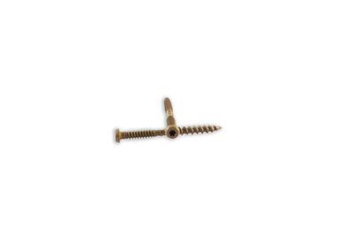 Woodpro #10 x 2-1/2 In. 1000 Hour PPG E-Coat Tan Composite Deck Screws, large image number 0