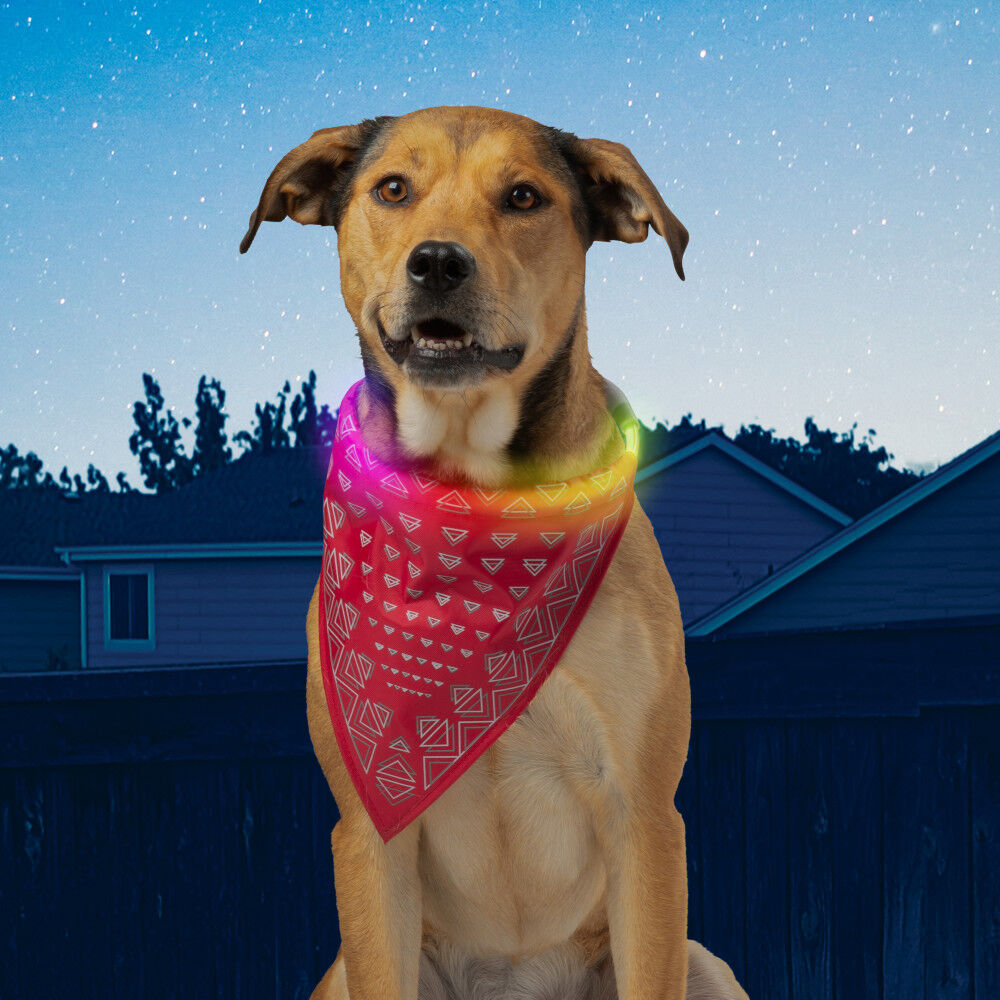 Nite best sale ize nitehowl