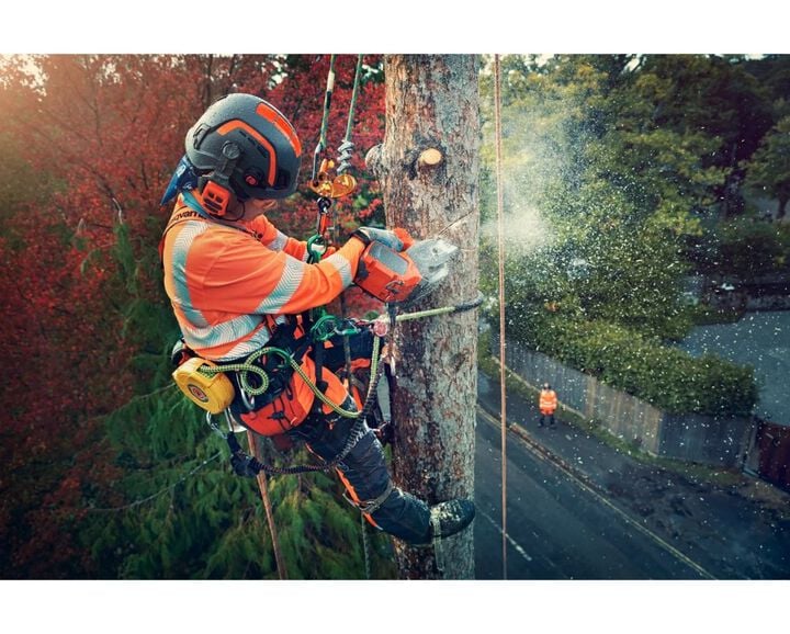 Husqvarna 585 36 Inch Gas-Powered Chainsaw, large image number 3
