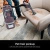 Shark Navigator Lift Away 0.8 Qt 120V ADV Upright Vacuum with Brush Roll, small image number 2