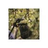 Fiskars Black Adjustable Fruit Picker Basket, small image number 2