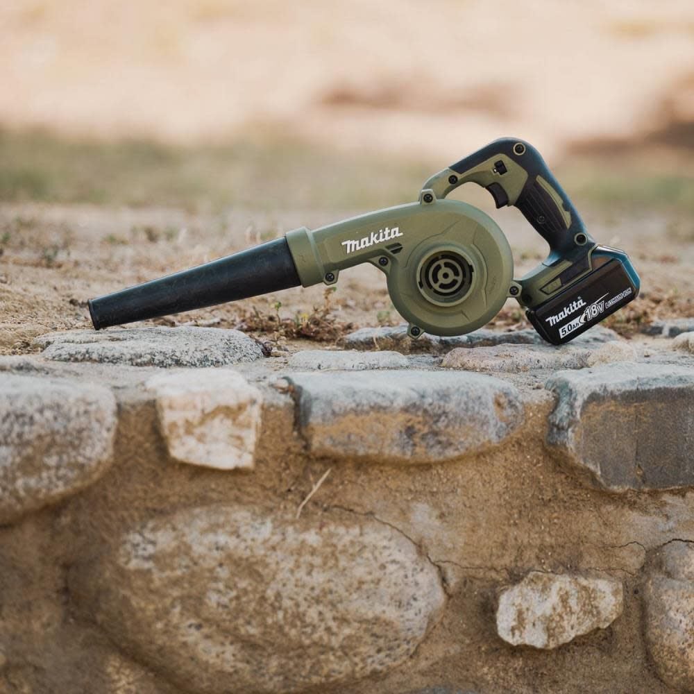 Makita cordless blower kit discount
