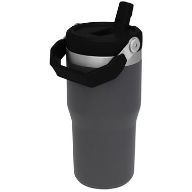 Stanley 1913 20 Oz Insulated The Iceflow Flip Straw Tumbler Charcoal  10-09994-002 from Stanley 1913 - Acme Tools