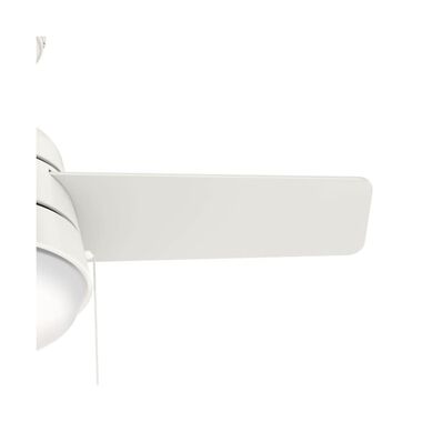 Hunter Fan Aker Ceiling Fan 36in Fresh White/Natural Wood, large image number 8