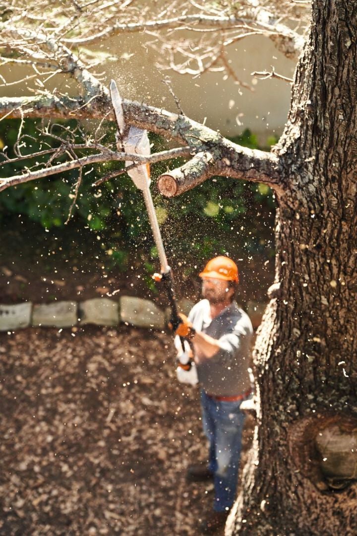 Stihl HTA 50 36V Battery Powered Extended-Reach Pole Pruner (Bare Tool), large image number 2