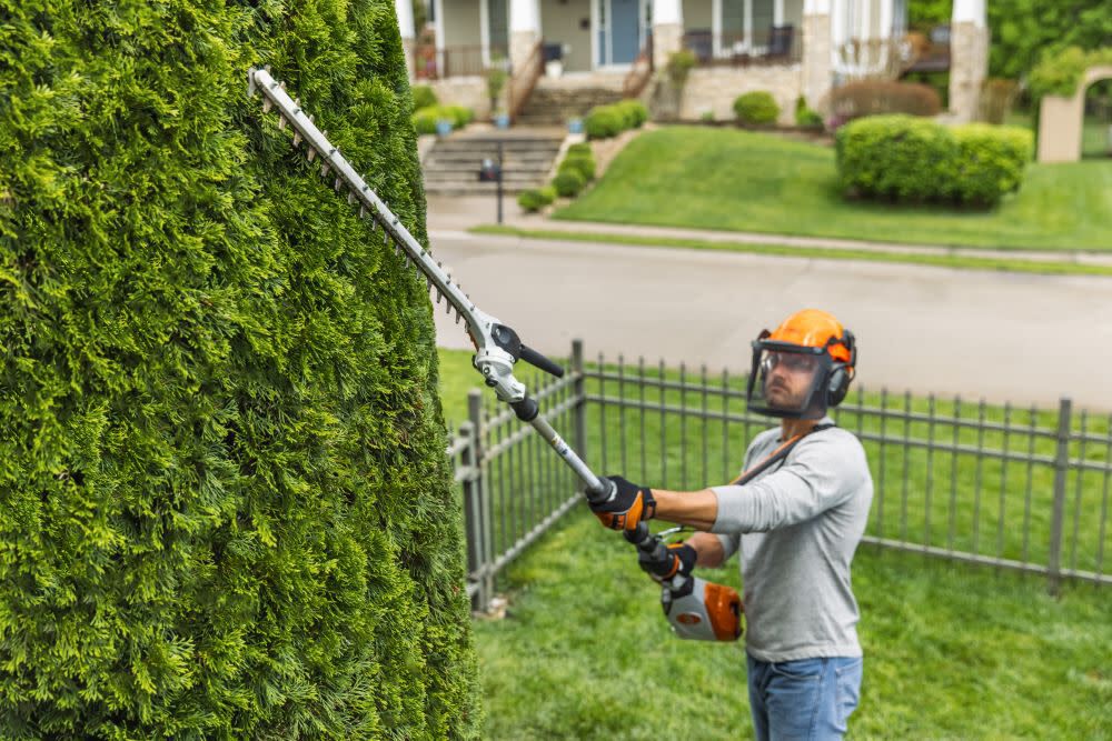Cordless extended 2025 reach hedge trimmer