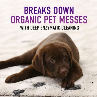 Hoover Residential Vacuum Paws & Claws Carpet Cleaning Solution 128oz, large image number 2