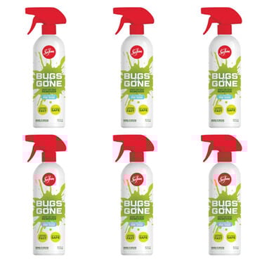Seafoam 16oz Multi-Surface Bug Remover, 6 Pack