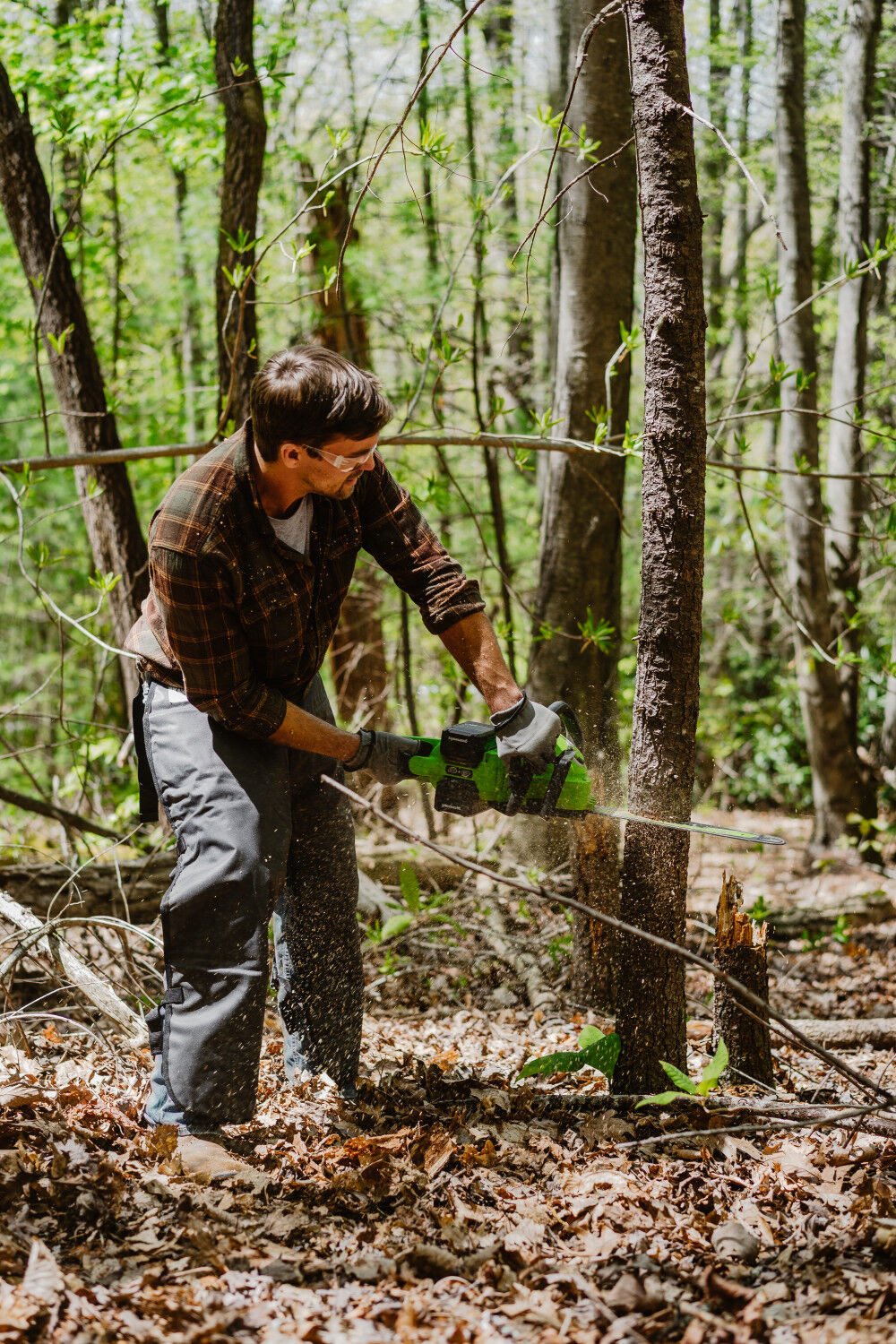 Greenworks 48v chainsaw store