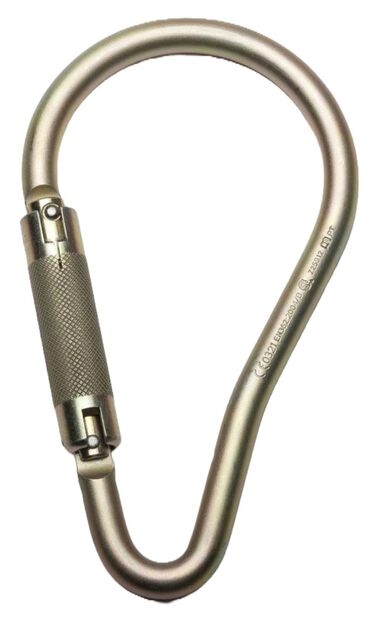 Werner 2 In. Carabiner (3600 lbs Gate)