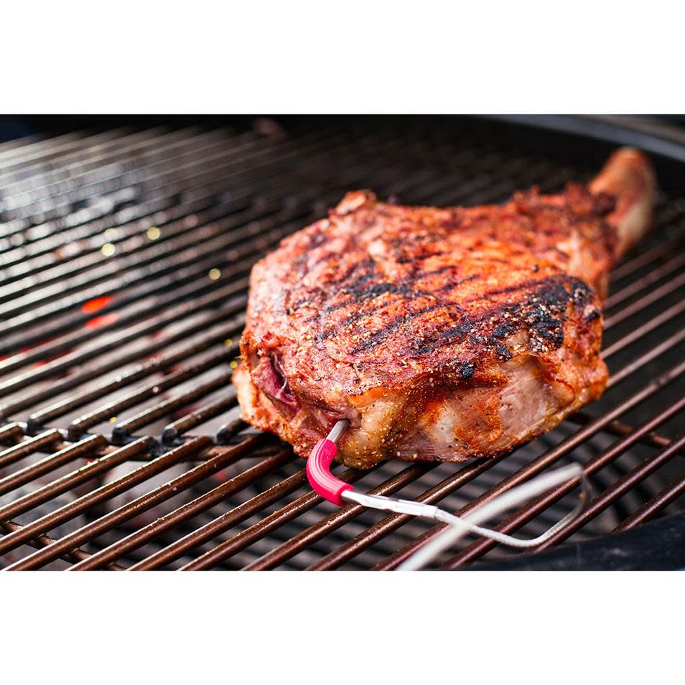 Igrill best sale meat probe