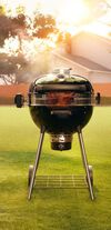 Napoleon Professional 22 Inch Charcoal Kettle Grill, small image number 3