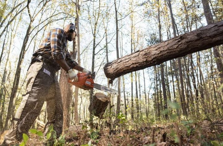 Husqvarna 460 Rancher 24in 60.3 cc 3.62HP Gas Powered Chainsaw, large image number 3