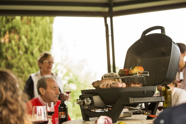 Napoleon TravelQ PRO285 Portable Natural Gas Grill Black, large image number 5